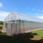 high performance High Tunnel Sawtooth Greenhouse Agricultural ISO9001 for sale