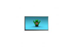 China N133BGA-EA2 13.3inch 1366*768 220 cd/m2 LCD Module Screen supplier
