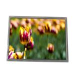 LTM150XO-L21 15.0 inch 1024*768 TFT LCD Screen Display for sale