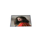 P286IVN03.0 LCD Module 28.6 inch LCD display for sale