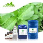 10ml 100% Pure Peppermint Oil Bulk Peppermint Essential Oil Extraction for sale