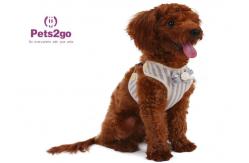 China All Seasons 104g 120cm Neoprene Dog Walking Vest supplier