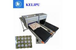 China Drag And Drop Convey Egg Inkjet Coding Machine Intelligence For Poultry Industry supplier