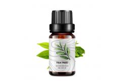 China Pure Bulk Tea Tree Essential Oil 10ml Diffuser Aromatherapy Essential Oil COA supplier
