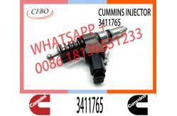China Diesel N14 Common Rail Fuel Injector 3411765 3411766 3652541 3411767 3652542 supplier