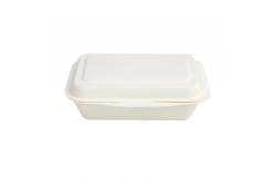 China Customized biodegradable fast food burger box supplier