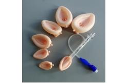 China Reusable Silicone Standard Laryngeal Mask Airway, With Bar Factory Price supplier