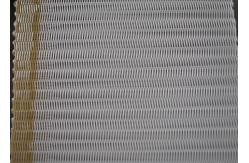 China Papermaking Polyester Sludge Dewatering Belt supplier