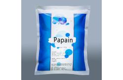 China 300USP-6000USP Liquid Papaya Enzyme Papain Powder Customized providing enzyme preparation sample supplier