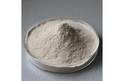 China Customized Pancreatin Enzyme Food Grade From Pig Pancreas Source supplier