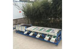 China 5-8 T / H Capacity Automatic Waxing Fruit Grading Machine supplier