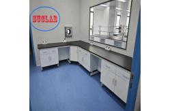 China High Safety Chemistry Lab Workbench Laboratory Benches With Functional Drawers supplier