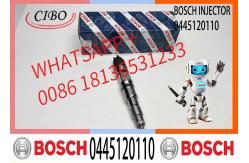 China Bosch Injector 0445120110 Common Rail Injector Assembly 0445120110 supplier