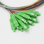SC APC 12 Core Bundled Fiber Pigtail 60dB Single Mode Optic Cable for sale