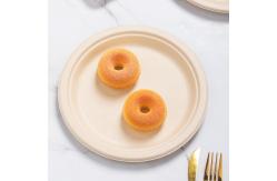 China 6 Inch Biodegradable Bagasse Tableware supplier