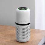 HOMEFISH Anion Car Air Purifier USB Charge DC5V/1000mAh for sale