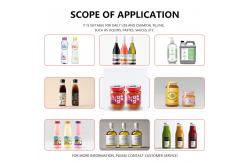 China Precision Speed Versatility in Stainless Steel Servo filling machine supplier
