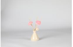 China Decorative Non Toxic Reed Diffuser supplier