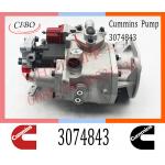 Cummins Diesel NTA855 Engine Fuel PT Injection Pump 3074843 3165399 3074835 for sale