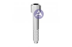 China MegaGen EZ PLUS® Dental Implant Abutment Titanium Screw Fits Mini/ RP/ WP supplier