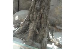 China 350cm Height Artificial Lucky Tree Potted Landscaping Plants supplier