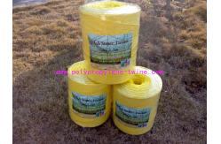 China High Tensile UV Treated PP Twine For Agriculture And Packaging supplier