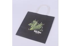 China CMYK Printing Wide Base Paper Carrier Bags supplier