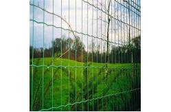 China TLWY PVC Coated Welded Mesh Fencing 9.0mm Holland Fence supplier