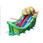 Chameleon Giant Inflatable Slide for sale