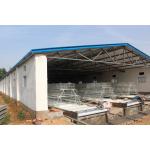 Poultry Equipment Baby Chick Cage A And H Frame Layer Cages for sale