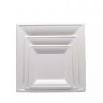 Compostable 8 Inch Square Biodegradable Bagasse Plates Food Dinner Pulp Molded Plate for sale