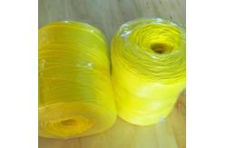 China Z Twisted Polypropylene Twine , Greenhouse Garden Tying Twine UV Treated supplier