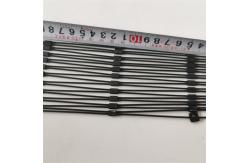 China Anti Ultraviolet Ray Woven Zoo Black Oxide Wire Rope Mesh CE ISO9000 Approved supplier