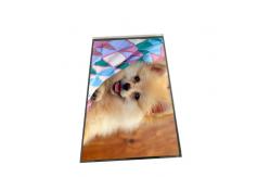 China AUO 8.0 inch LCD 800×1280 TFT LCD display B080EAK02.2 supplier