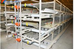 China Automatic Equipment Chicken Layer Cages Hot Dip Galvanized Steel Material supplier