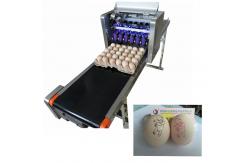 China Egg Automatic Batch Coding Machine Printing 120000 Characters Per Hour supplier