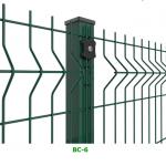 4ft Hot Dipped Curved 3d Welded Wire Mesh Fence 3mm Diameter For Garden for sale