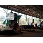 Popular MJ3210 Vertical Band Sawmill with Log Carriage /Automatic feeding Vertical bandsaw Mill