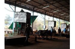 China Popular MJ3210 Vertical Band Sawmill with Log Carriage /Automatic feeding Vertical bandsaw Mill supplier