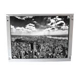 800*600 NL8060BC31-42E lcd display module for NEC for sale