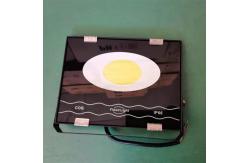 China High Brightness Waterproof COB LED Floodlight for Warehouse and Factory supplier