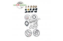 China Fuel Pump Repair Kit 294009-0052 HP4 Fuel Pump Overhaul Kit supplier