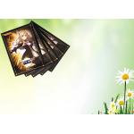 PP PE Transparent Waterproof Card Sleeves Customized Printing