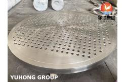 China ASTM A182 F316L STAINLESS STEEL TUBESHEET HEAT EXCHANGER PART supplier