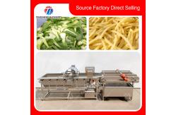 China Canteen 1000KG/H Fruit And Vegetable Cutter Shredding Slicing And Dicing supplier