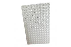 China 160 Hole Round EPS Seedling Tray Foam Seedling Tray Plant Seedling Cultivation Tray supplier