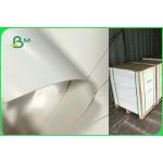 Customized Single Side PE Coated Paper For Disposable Plates FSC FDA Approved
