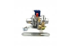 China Sequential Fuel Injection Standard CNG Pressure Reducer Regulator Aluminium Body supplier
