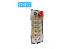 China Twelve-way dual speed switch industrial remote control supplier