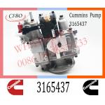 Diesel Engine Parts Fuel Injection Pump 3165437 3165401 4060993 3419494 For Cummins NTA855 for sale